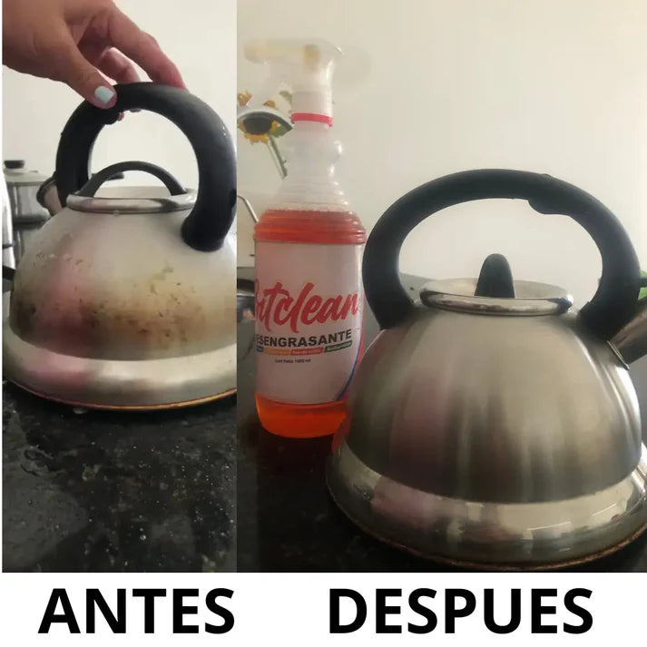 DESENGRASANTE BITCLEAN (1 LITRO)