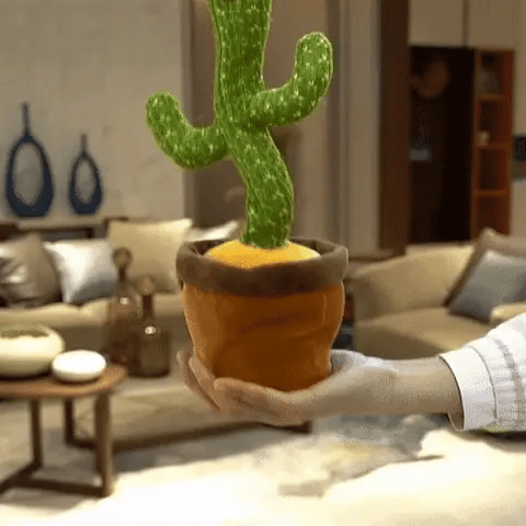 CACTUS BAILARÍN 🌵
