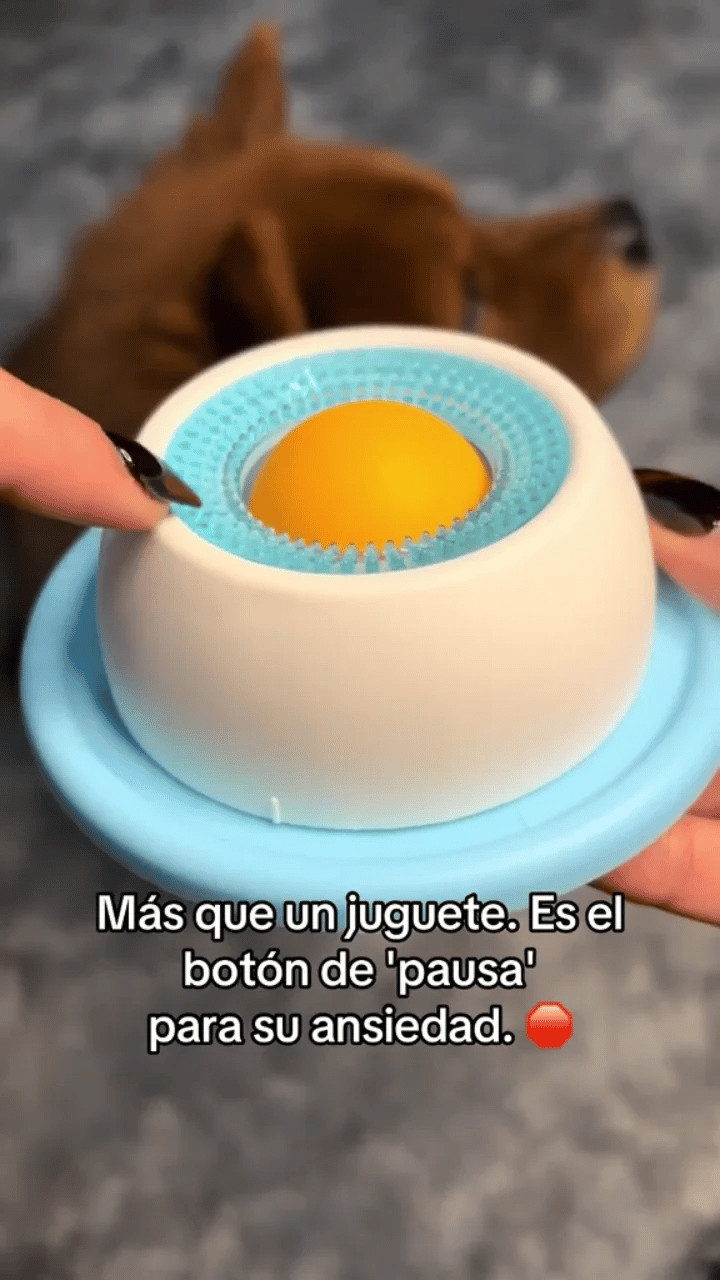 Plato de Lamido Antiestrés - Promueve la salud dental y la estimulación mental