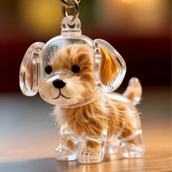 LLAVERO PARA RECORDAR A TU MASCOTA 🐶